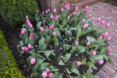 Morgan-Landscaping_Var_20180326-178
