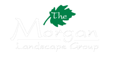 Home - Morgan Landscape Group